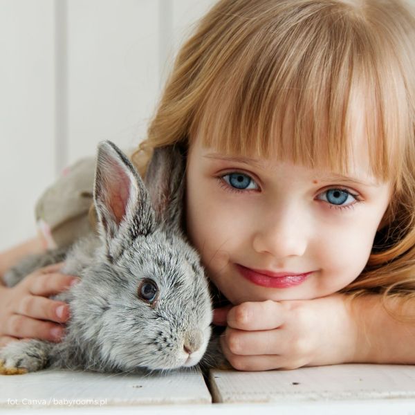 Jakie zwierzę domowe dla dziecka? Poradnik dla rodziców