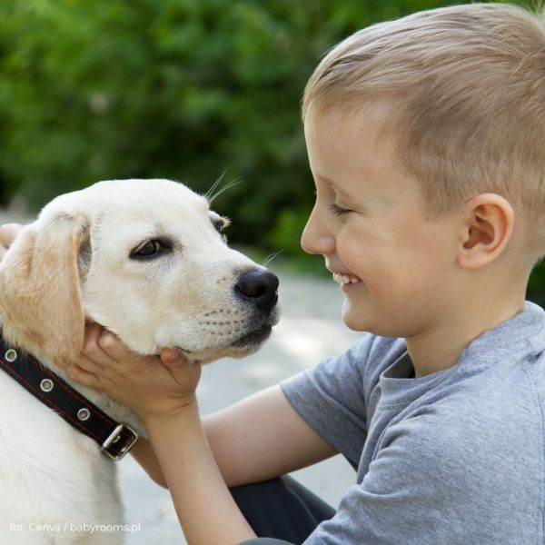 Pies jako wsparcie emocjonalne dziecka