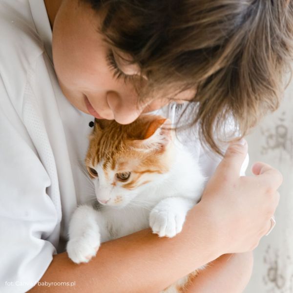 Najlepsze rasy kotów dla dzieci – które warto rozważyć?