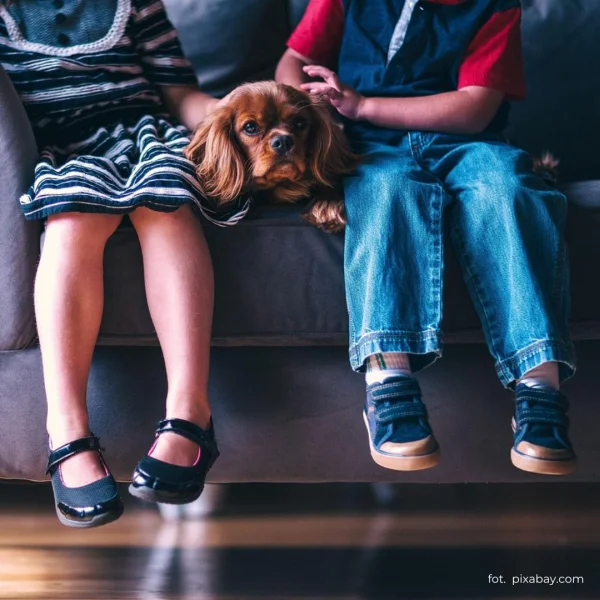 Jak sprawdzić, czy buty dziecięce są dobrze dopasowane? 7 prostych testów